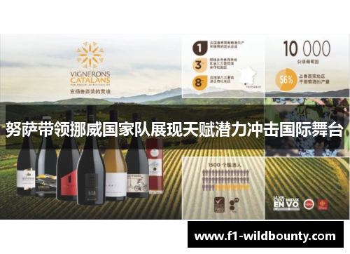 努萨带领挪威国家队展现天赋潜力冲击国际舞台