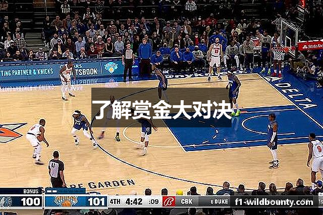 了解赏金大对决